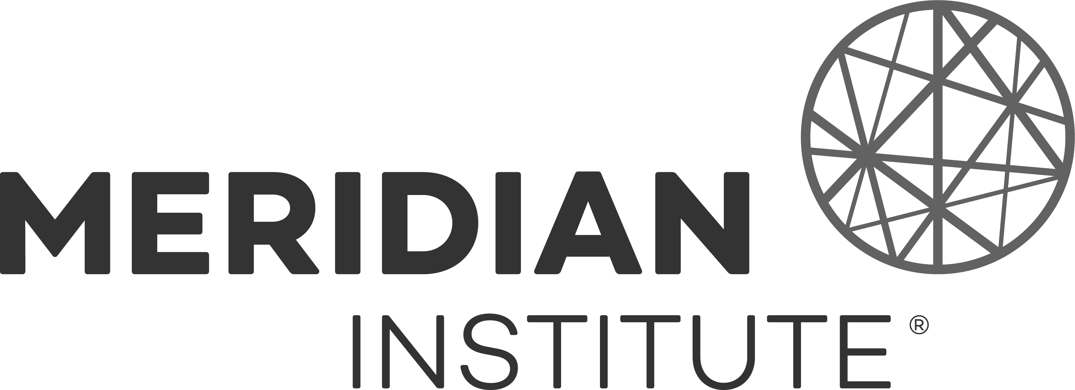 Meridian Institute